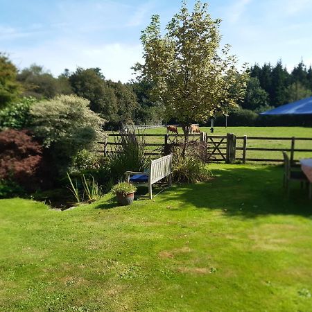 Woodlands Cottage Farm Wickham Exterior photo
